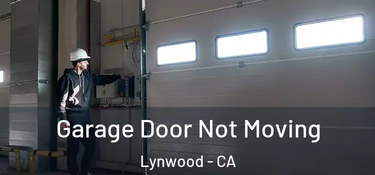  Garage Door Not Moving Lynwood - CA